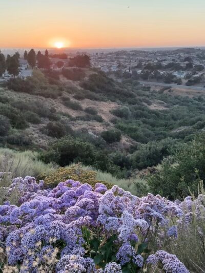 Paradise Hills Park - San Diego, CA