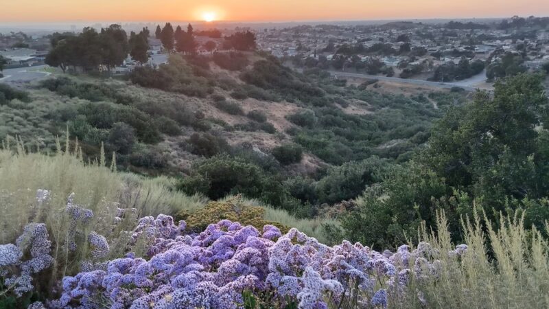 Paradise Hills Park - San Diego, CA
