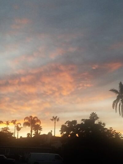 Plumosa Park - San Diego, CA