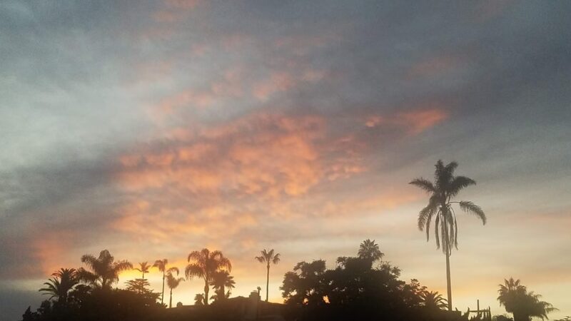 Plumosa Park - San Diego, CA