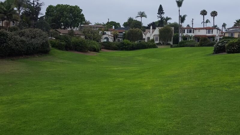 Plumosa Park - San Diego, CA