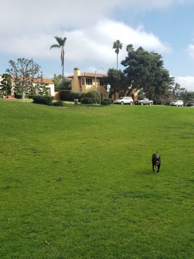 Plumosa Park - San Diego, CA