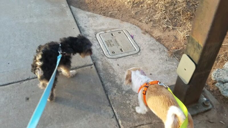 Princess Del Cerro Park - San Diego, CA