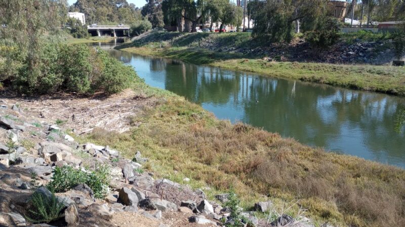 Rose Creek - San Diego, CA