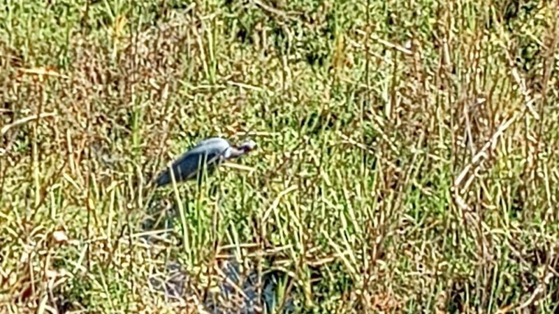 Rose Creek - San Diego, CA