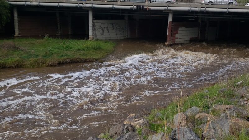 Rose Creek - San Diego, CA