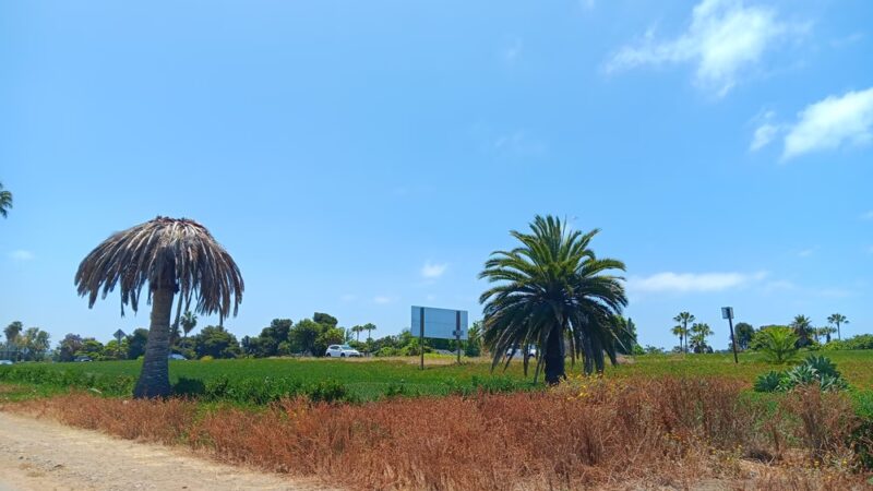 San Diego River Bike Path - San Diego, CA