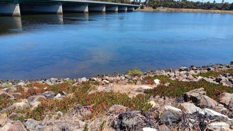 San Diego River Bike Path - San Diego, CA