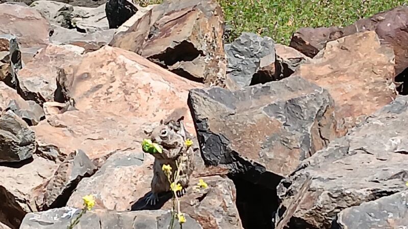 San Diego River Bike Path - San Diego, CA