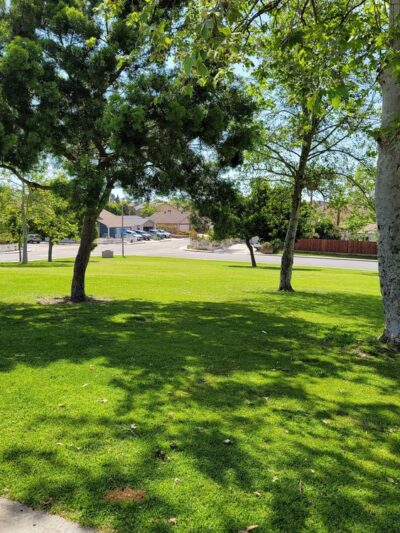 Sandburg Park - San Diego, CA