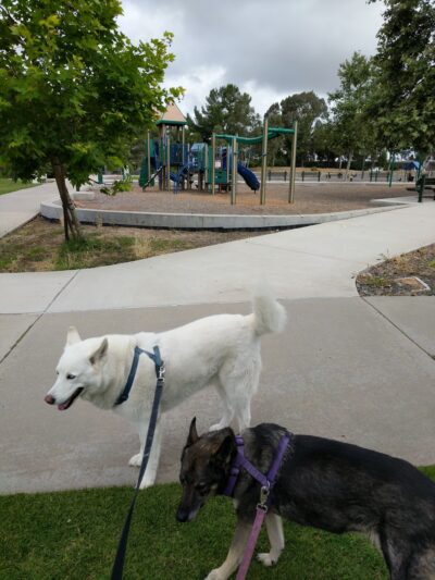 Sandburg Park - San Diego, CA