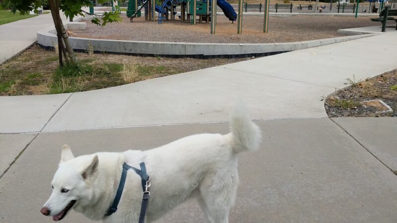 Sandburg Park - San Diego, CA