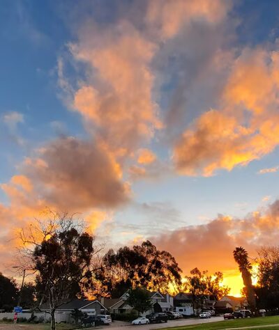 Sandburg Park - San Diego, CA