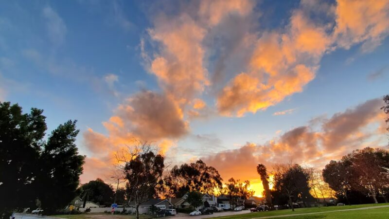 Sandburg Park - San Diego, CA