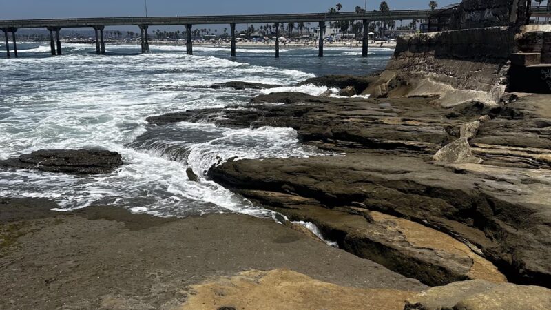 Saratoga Park - San Diego, CA