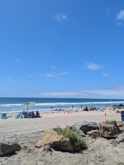 Saratoga Park - San Diego, CA