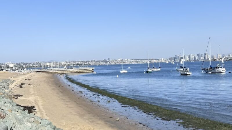 Shelter Island Shoreline Park (Central) - San Diego, CA