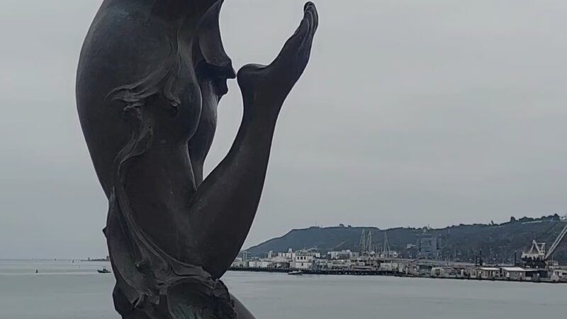 Shelter Island Shoreline Park (South) - San Diego, CA