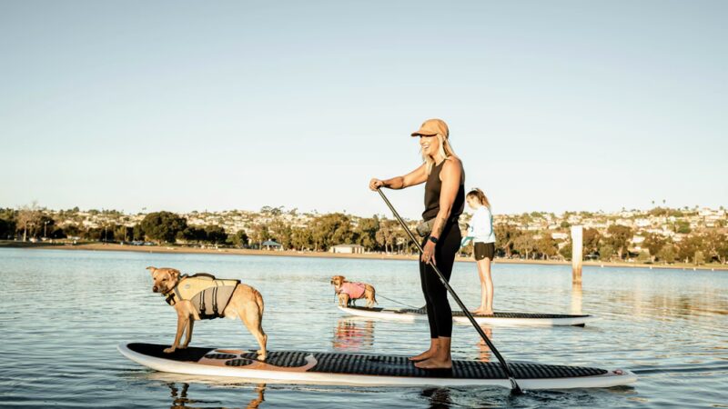 SUP Pups - San Diego, CA