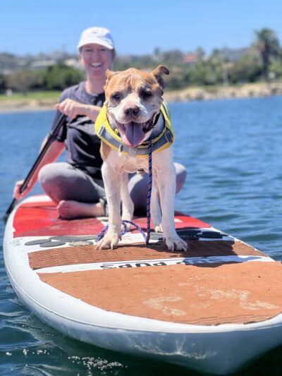 SUP Pups - San Diego, CA