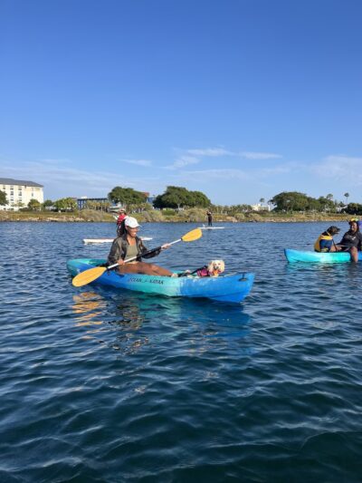SUP Pups - San Diego, CA
