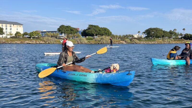 SUP Pups - San Diego, CA