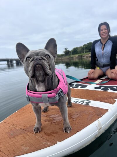 SUP Pups - San Diego, CA