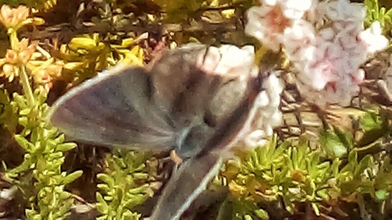 Tecolote Canyon Natural Parktrailhead - San Diego, CA