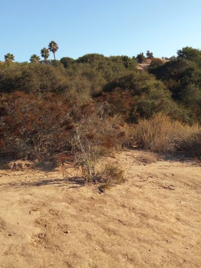 Tecolote Canyon Natural Parktrailhead - San Diego, CA