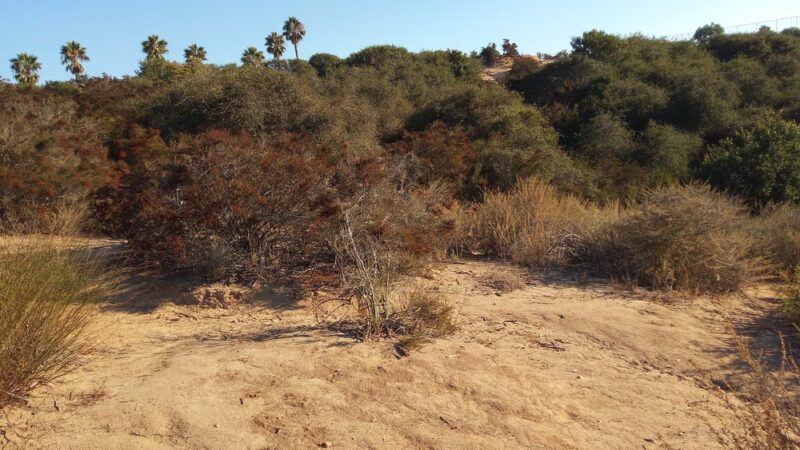 Tecolote Canyon Natural Parktrailhead - San Diego, CA