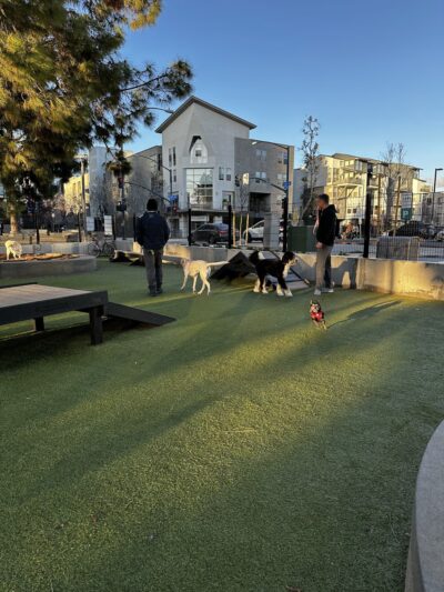 The Dog Park - San Diego, CA