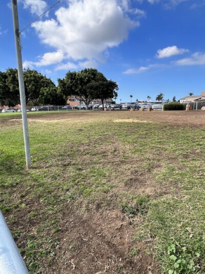 University Heights Off Leash Dog Park - San Diego, CA
