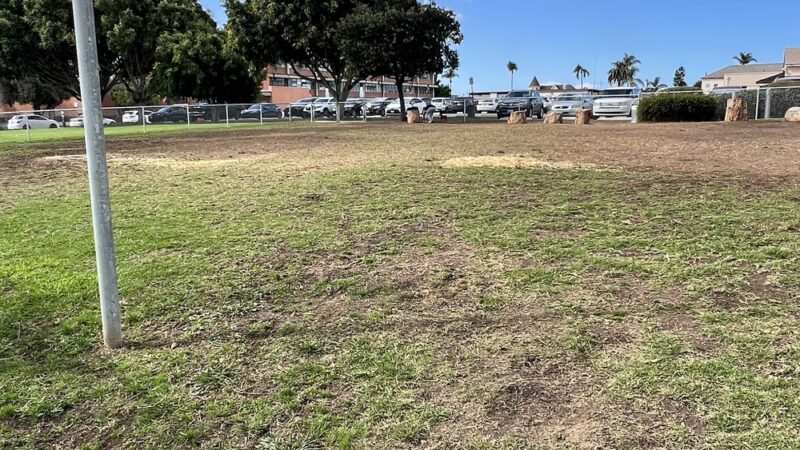 University Heights Off Leash Dog Park - San Diego, CA