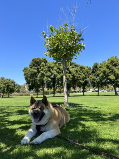 Villa Norte Park - San Diego, CA