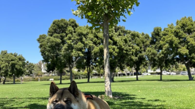 Villa Norte Park - San Diego, CA