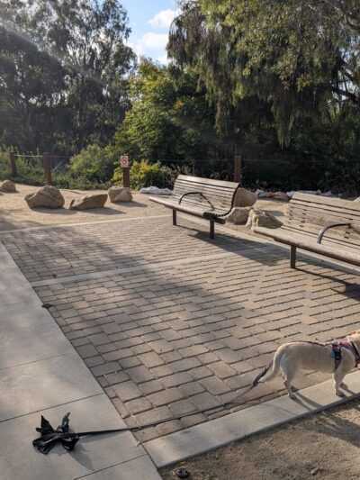 W Lewis St Park - San Diego, CA