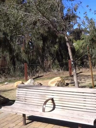 W Lewis St Park - San Diego, CA