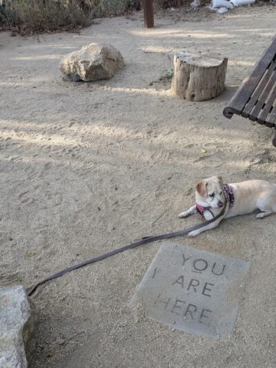 W Lewis St Park - San Diego, CA