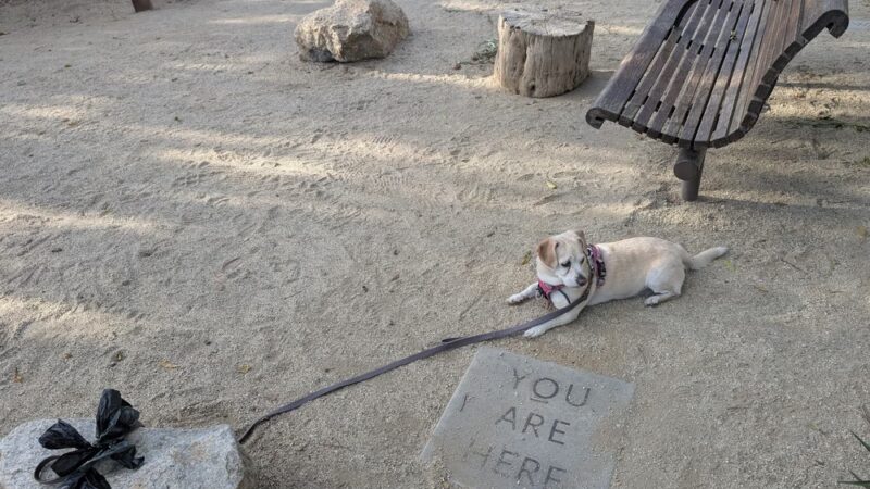 W Lewis St Park - San Diego, CA