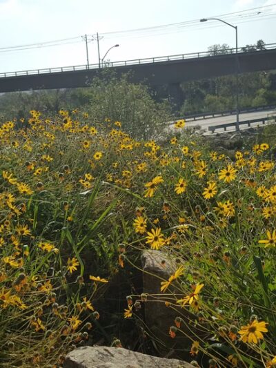 walking track - San Diego, CA