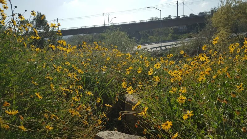 walking track - San Diego, CA
