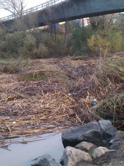 walking track - San Diego, CA