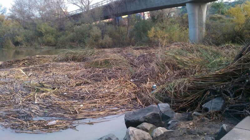 walking track - San Diego, CA