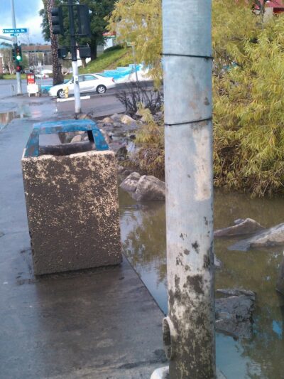 walking track - San Diego, CA