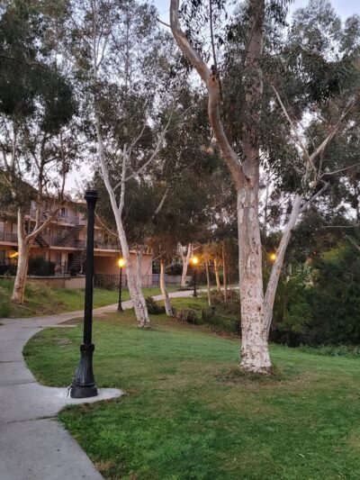 Ward Canyon Park - San Diego, CA