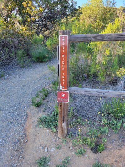 West Ridge Trail - San Diego, CA