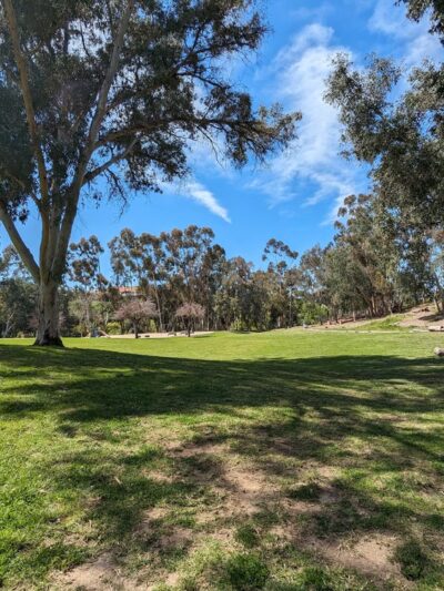 Western Hills Park - San Diego, CA