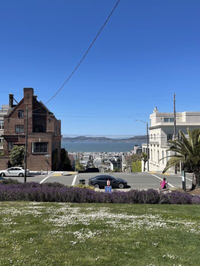 Alta Plaza Park - San Francisco, CA