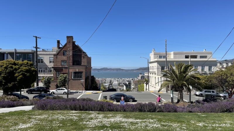 Alta Plaza Park - San Francisco, CA