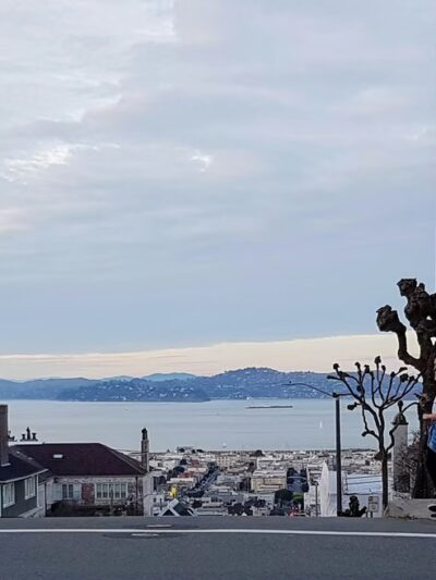 Alta Plaza Park - San Francisco, CA